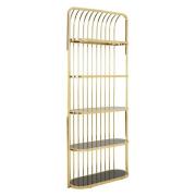 Fafnir Cage Design Black Glass Bookshelf With Gold Frame