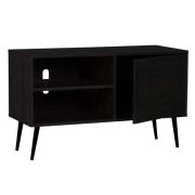 Deland Wooden TV Stand With 1 Door In Black