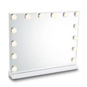 Holmdel Small Dressing Mirror With LED Lighting In Clear